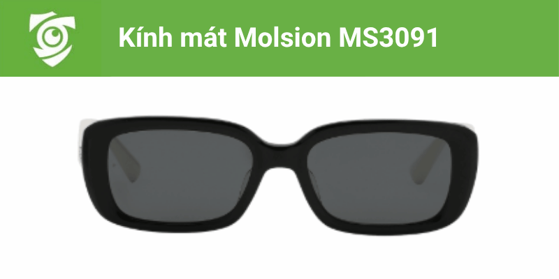 Mắt kính đen Molsion MS3091 tại Mắt kính Tâm Đức