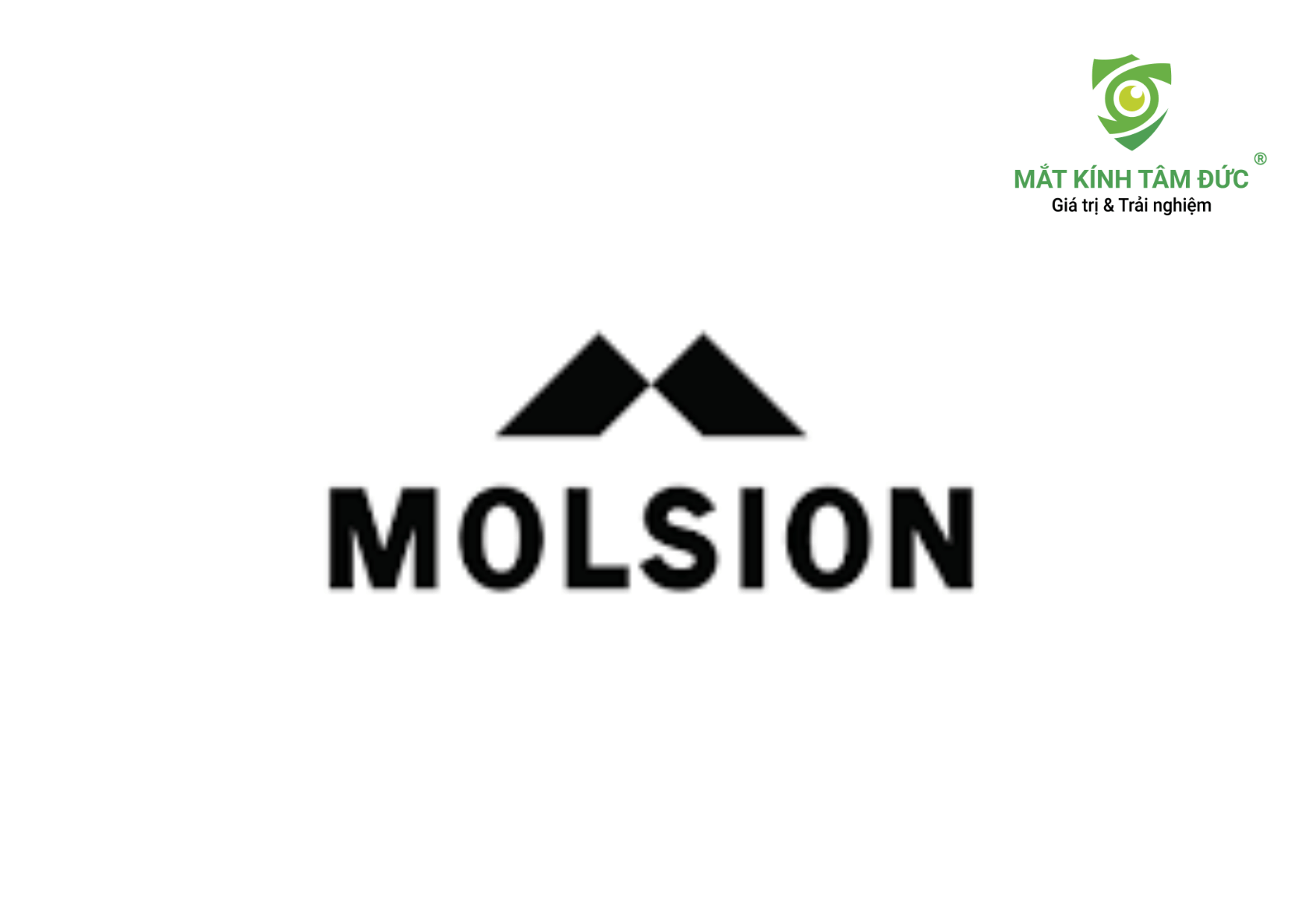 Kính mát Molsion tại Mắt kính Tâm Đức