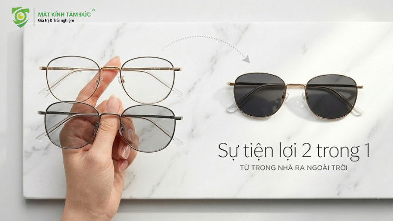 Tròng kính đổi màu-sự tiện lợi 2 trong 1