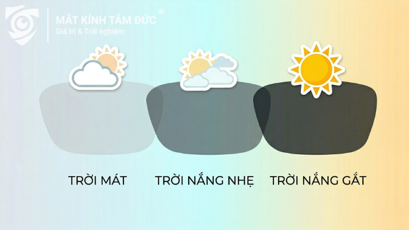 Tròng kính đổi màu từ trong suốt sang sậm màu theo điều kiện ánh sáng