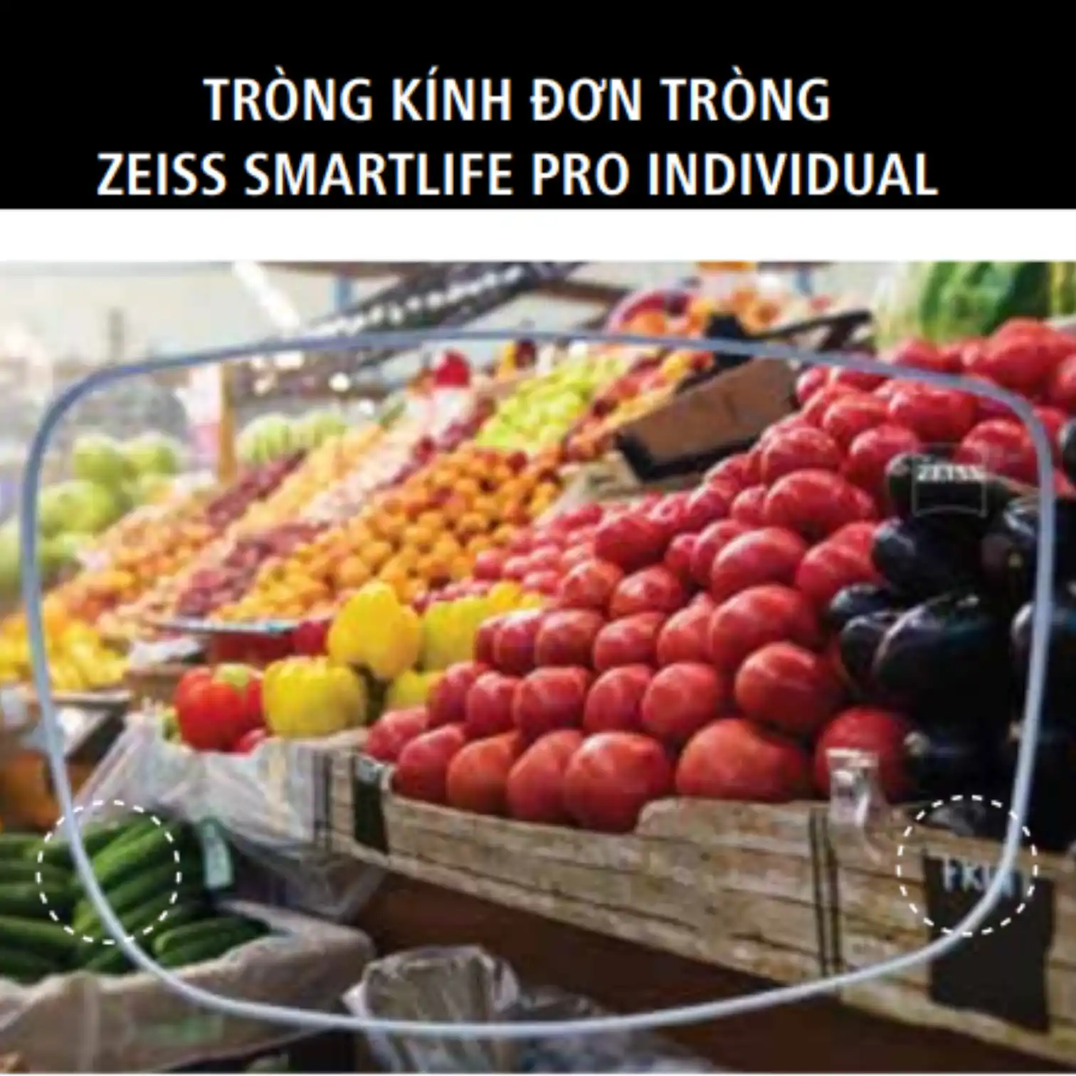 Tròng kính Đơn tròng ZEISS SmartLife Pro Individual