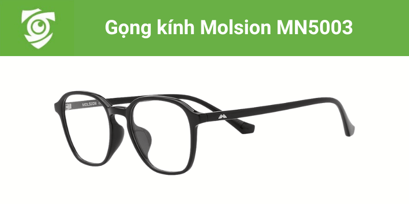 Gọng kính Molsion MN5003 tại Mắt kính Tâm Đức
