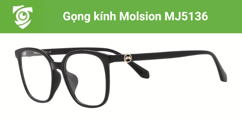 Gọng kính Molsion MJ5136 tại Mắt kính Tâm Đức