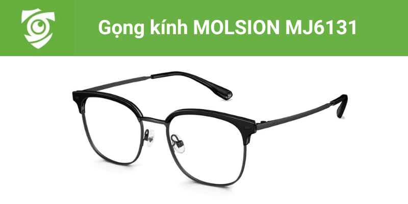Gọng kính Molsion MJ6131