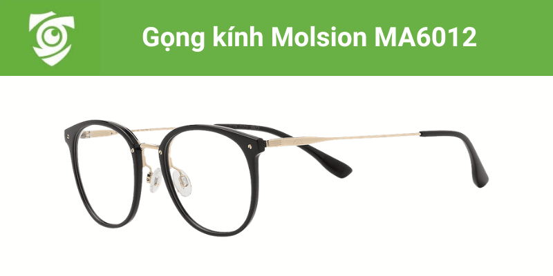 Gọng kính Molsion MA6012 tại Mắt kính Tâm Đức