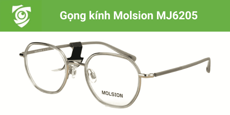 Gọng kính Molsion MJ6205 tại Mắt kính Tâm Đức