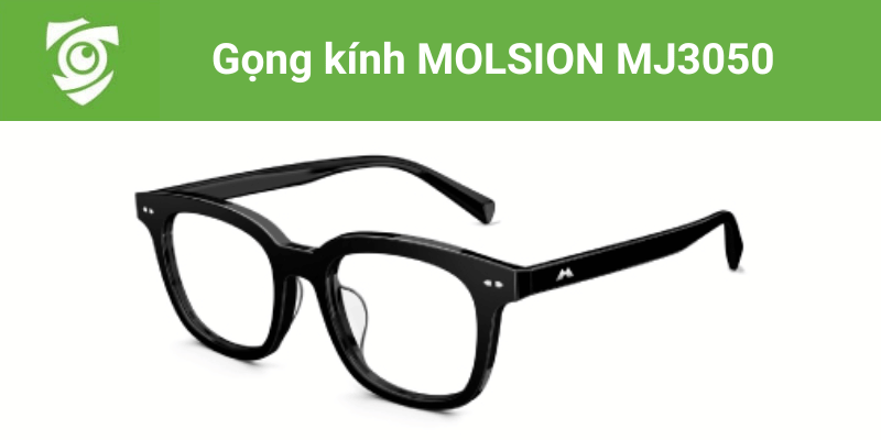 Gọng kính MOLSION MJ3050 tại Mắt kính Tâm Đức